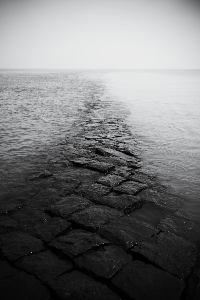 A serene black and white scene of a stone path leading into a misty ocean horizon.